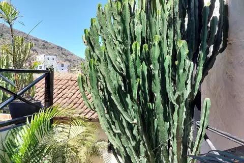 Apartamentos Monasterio de San Antonio in Puerto De La Cruz, foto 18