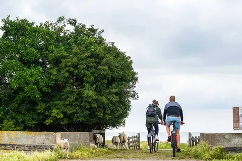 Fietscruise Noord-Holland en Friesland foto 14
