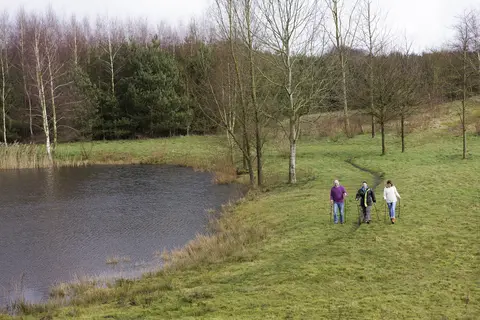 Center Parcs Limburgse Peel in America — foto 12