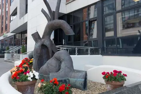Limerick City Hotel in Limerick, foto 6