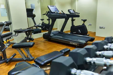 Rose Plaza Hotel Al Barsha in Dubai — foto 4