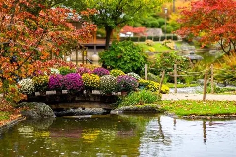 Stiemerheide - The Urban Hotel & Golf Retreat 4* Superior foto 22