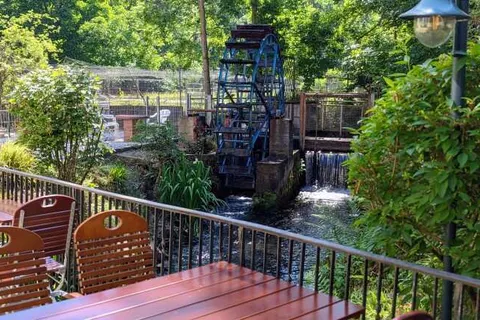 Hotel und Weingut Karlsmühle foto 14