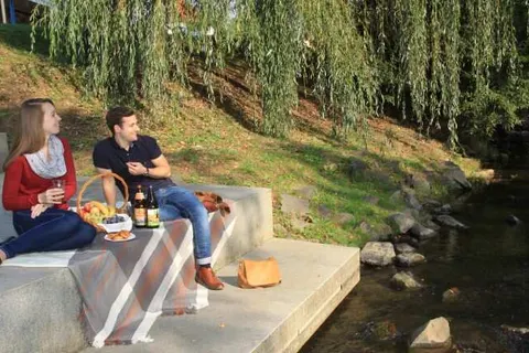 Hotel Birkenhof (Bad Soden-Salmünster) foto 34