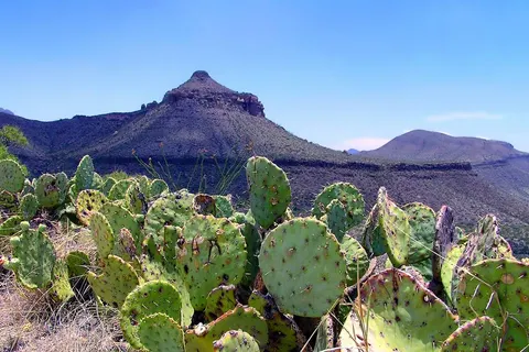 A Western Adventure in Texas foto 1