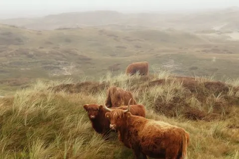 Boutique Hotel Texel foto 30