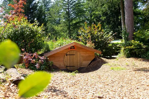 De Utrechtse Heuvelrug foto 24