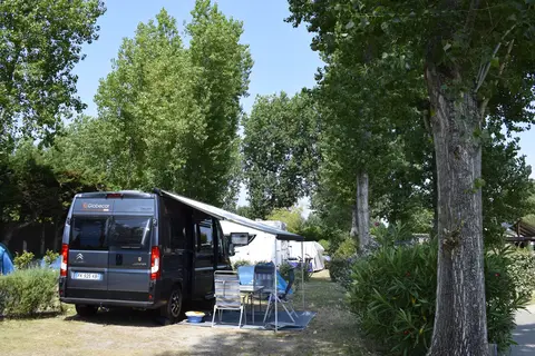 Flower Camping Le Bois D Amour in Quiberon — foto 14