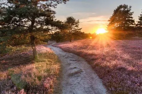 Leerhotel Het Klooster foto 24