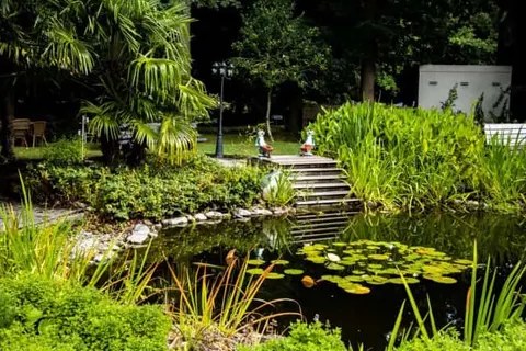 Hotel de Elderschans foto 15