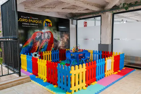 Appartementen Parque Las Américas in Arona — foto 8
