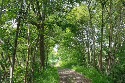 Hotel Martensplek foto 16