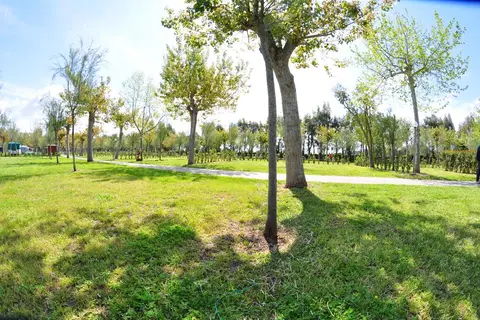 Camping Paestum in Eboli — foto 7