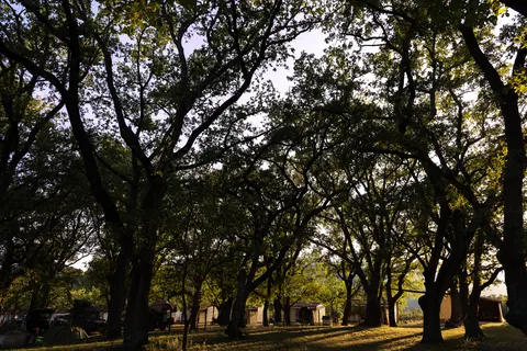 Camping & Bungalowpark Isábena foto 14