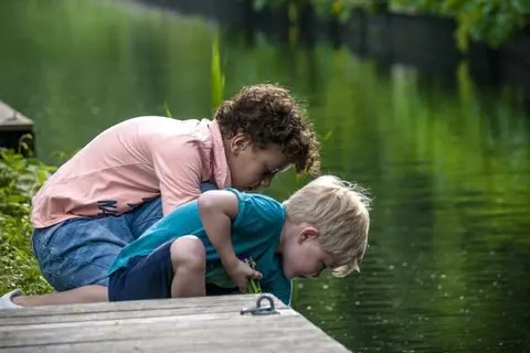 Bungalowpark It Wiid foto 13