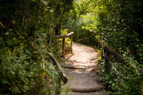 Camping Fargogne foto 7