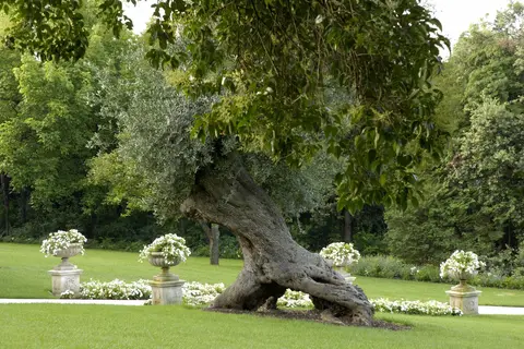 Byblos Art Hotel Villa Amistà in San Pietro in Cariano, foto 10