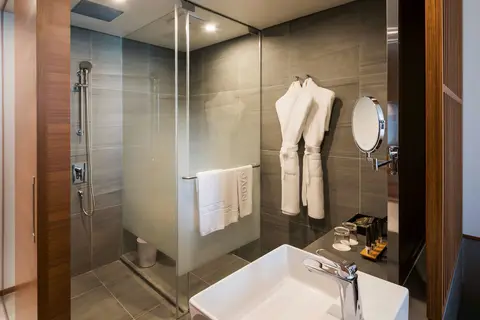 Novotel Ambassador Seoul Dongdaemun Hotels & Residences in Seoel — foto 8