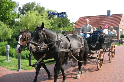 Ribe Byferie Resort in Ribe — foto 18