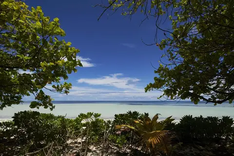 Canopy by Hilton Seychelles in Victoria — foto 7