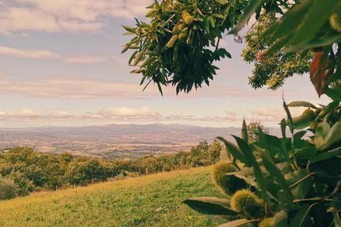 Camping Lucherino foto 14