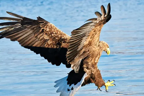 Ontdek Tromsø, Lofoten & Vesterålen foto 5