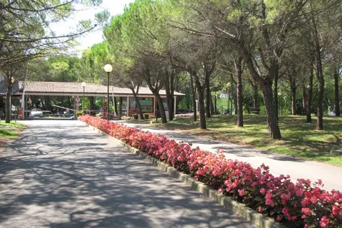 Camping Belvedere Pineta foto 7