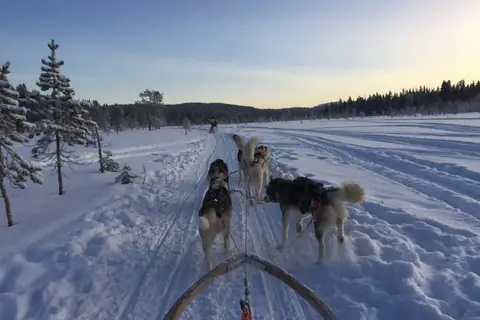 Ontdek het winteravontuur vanuit Skeikampen in Svingvoll — foto 5