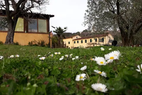 Fattoria Borgo La Torre in Montecarlo, foto 27