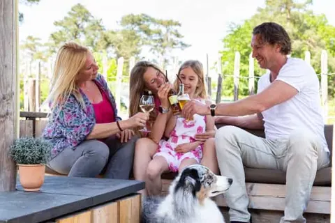 TopParken Resort Veluwe foto 7