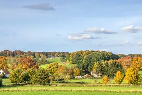 Hotel De Oude Molen foto 5