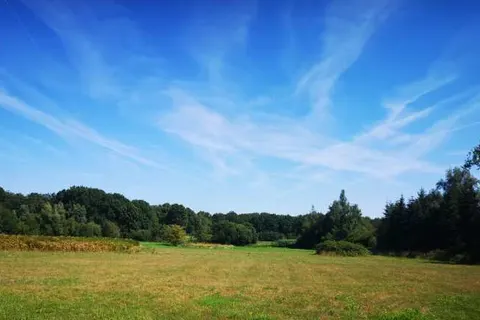 Camping Geelenhoof foto 17