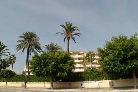 Grupotel Port d'Alcudia in Alcúdia — foto 20