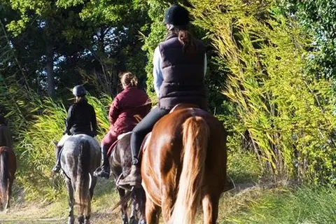 Camping Le Petit Bois foto 5