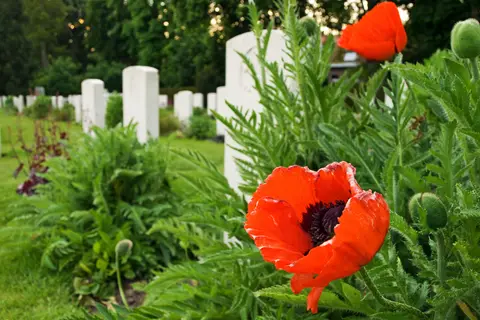 Urban Gardens Ieper in Ieper — foto 19
