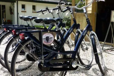 Herberg De Eexter Os foto 16