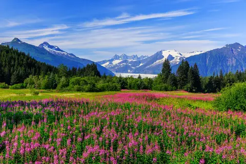 Alaska & Yukon Highlights in Alaska — foto 5