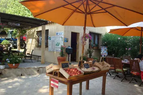 Camping Miremer in La Garde-Freinet, foto 10