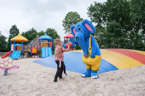 Camping De Pallegarste foto 5