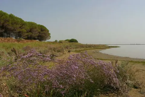 Marina Azzurra Resort in Lignano Sabbiadoro, foto 29