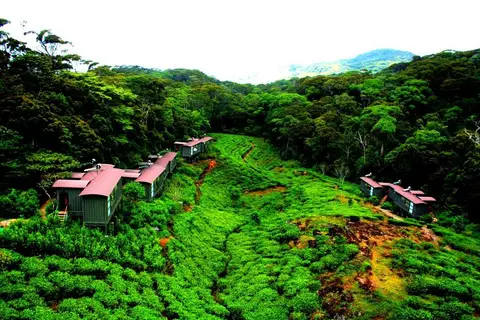 Rainforest Eco Lodge in Rainforest Ecolodge — foto 15