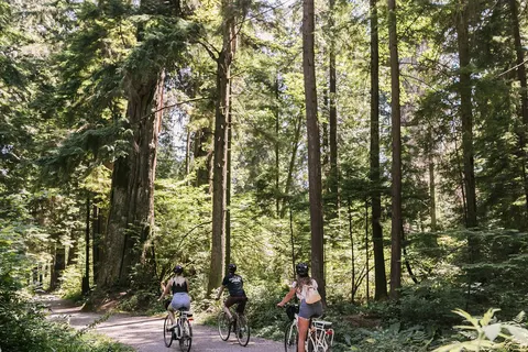 2 weeks in Western Canada foto 4