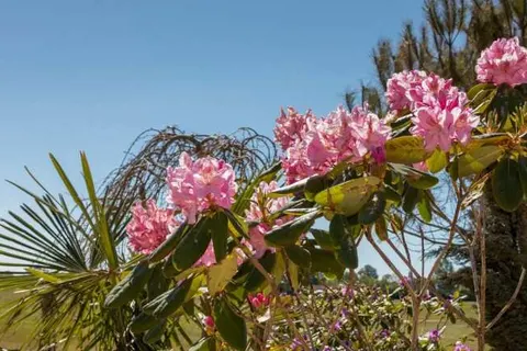 Vakantiepark Fort den Haak foto 10