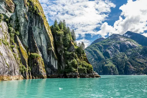 Cruise Alaska foto 6
