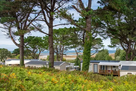 Flower Camping Le Port De La Chaine in Pleubian — foto 4