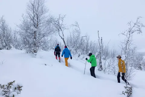 Ontdek het winteravontuur vanuit Geilo foto 13