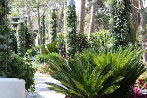 Alabriga Hotel & Home Suites in Sant Feliu de Guíxols — foto 10