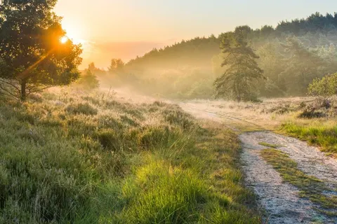 Camping San Lanaco foto 1