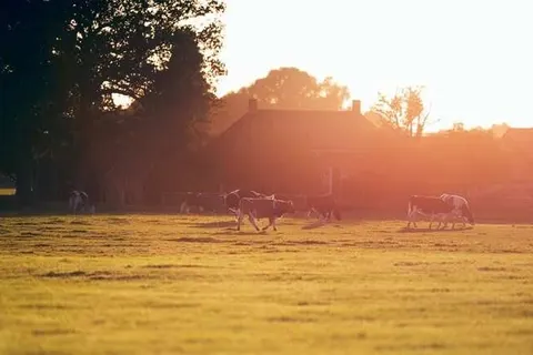 Havezathe Carpe Diem foto 20