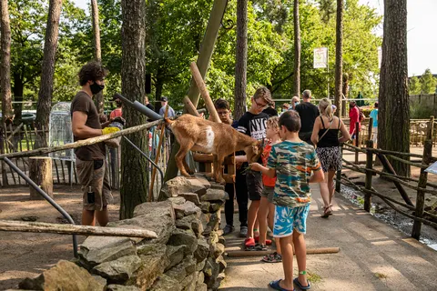 Familiepark Goolderheide foto 6